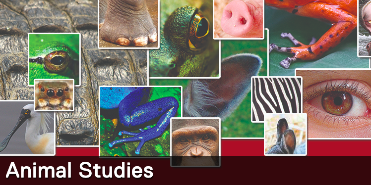 The Wesleyan Argus | University Advances Voting on Animal Studies Minor  Proposal