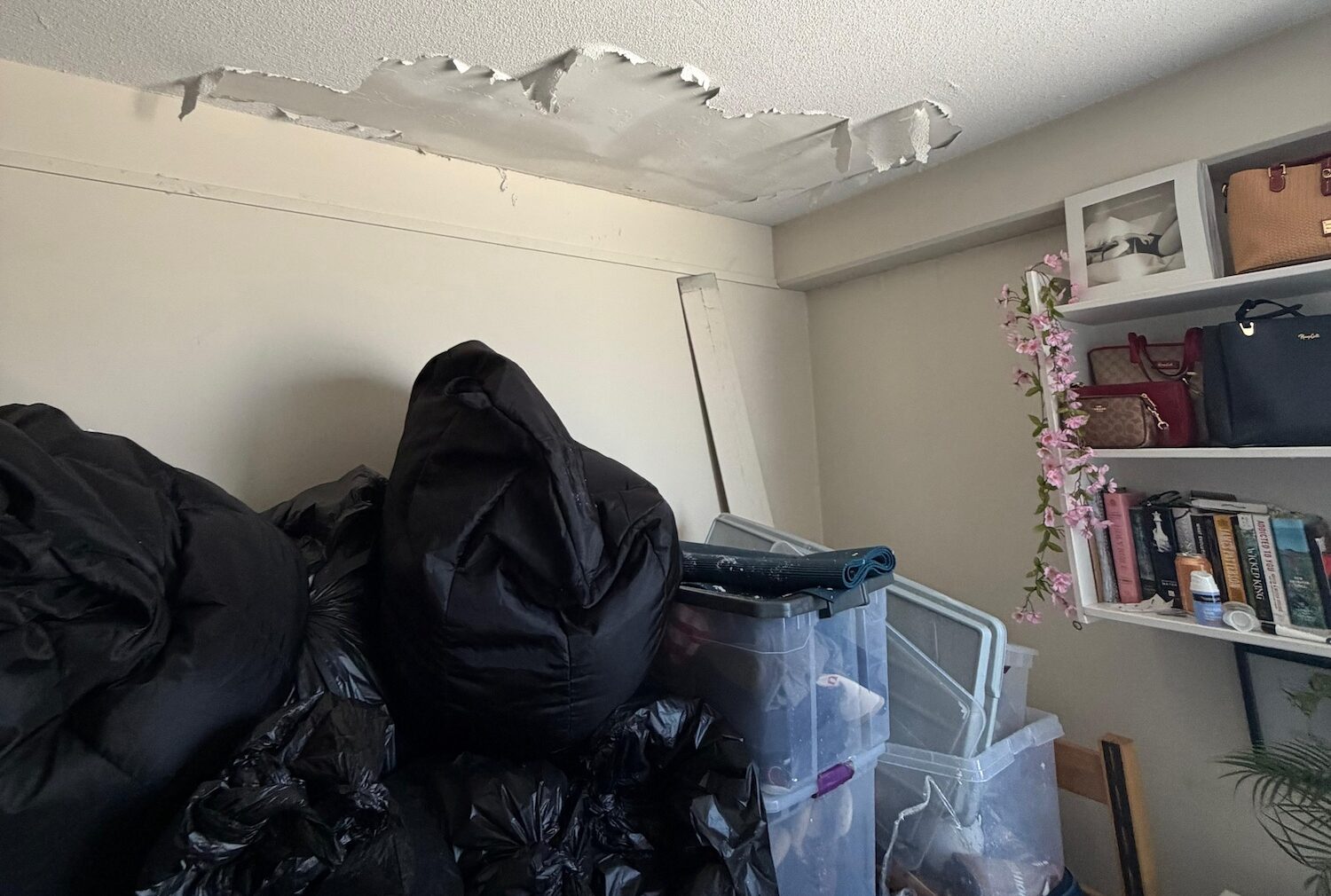 Frigid Weather Brings Burst Pipes to High Rise and Freeman Athletic Center